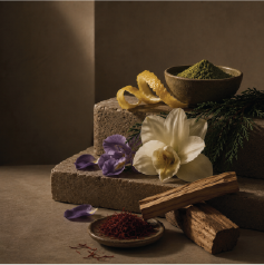Orchid, saffron, matcha and palo santo arranged on stone